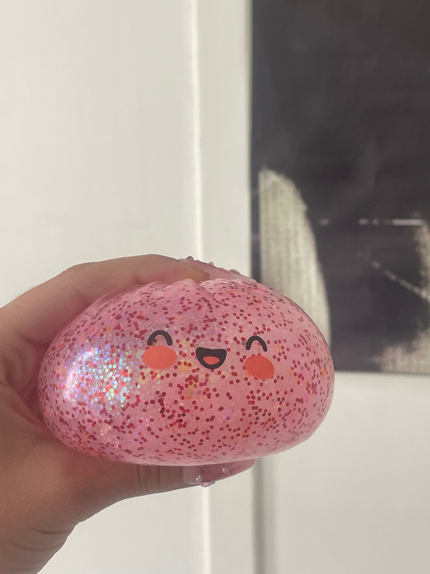 glitter dumpling ( 1 mystery box)