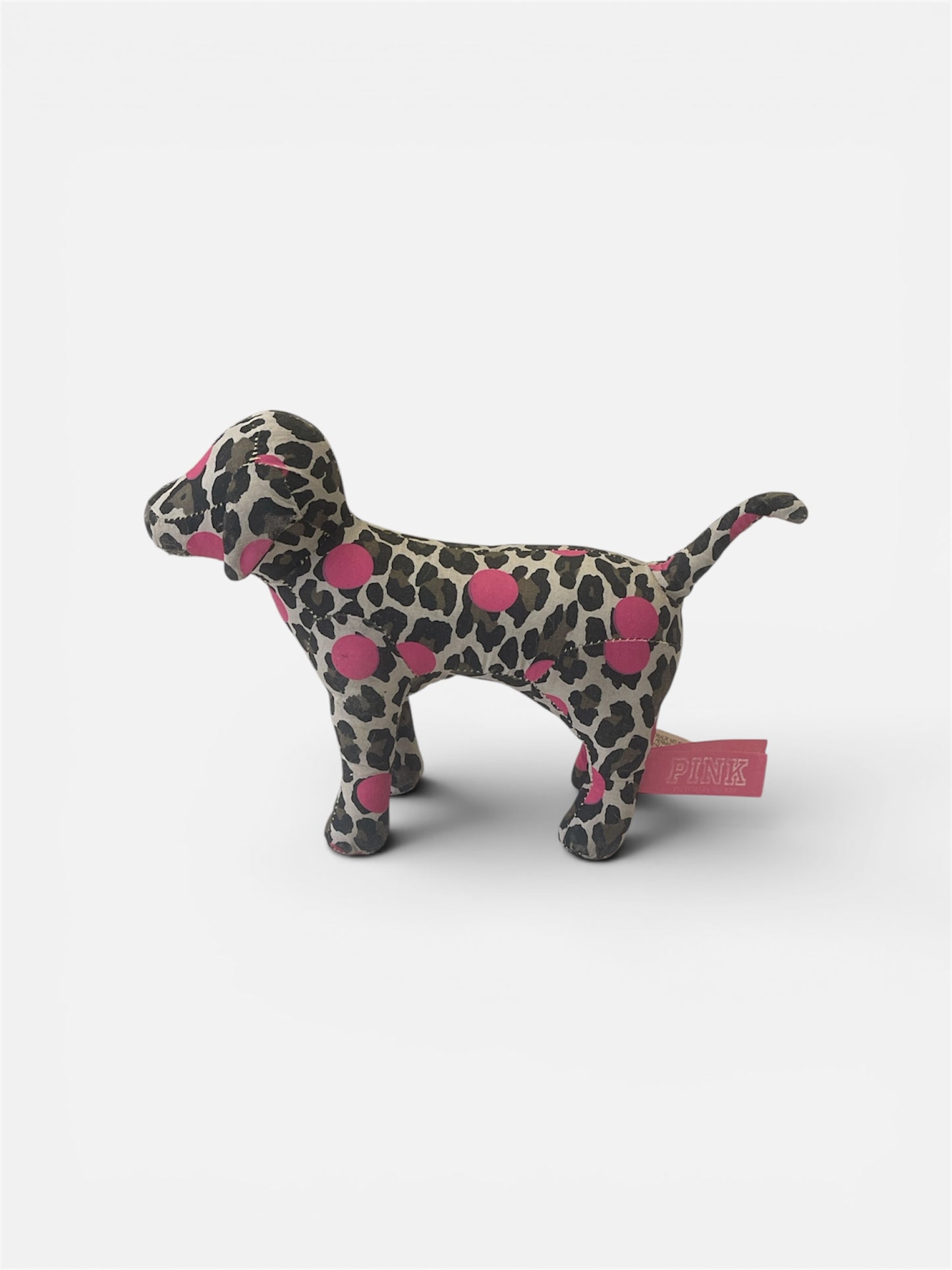 vs dog
