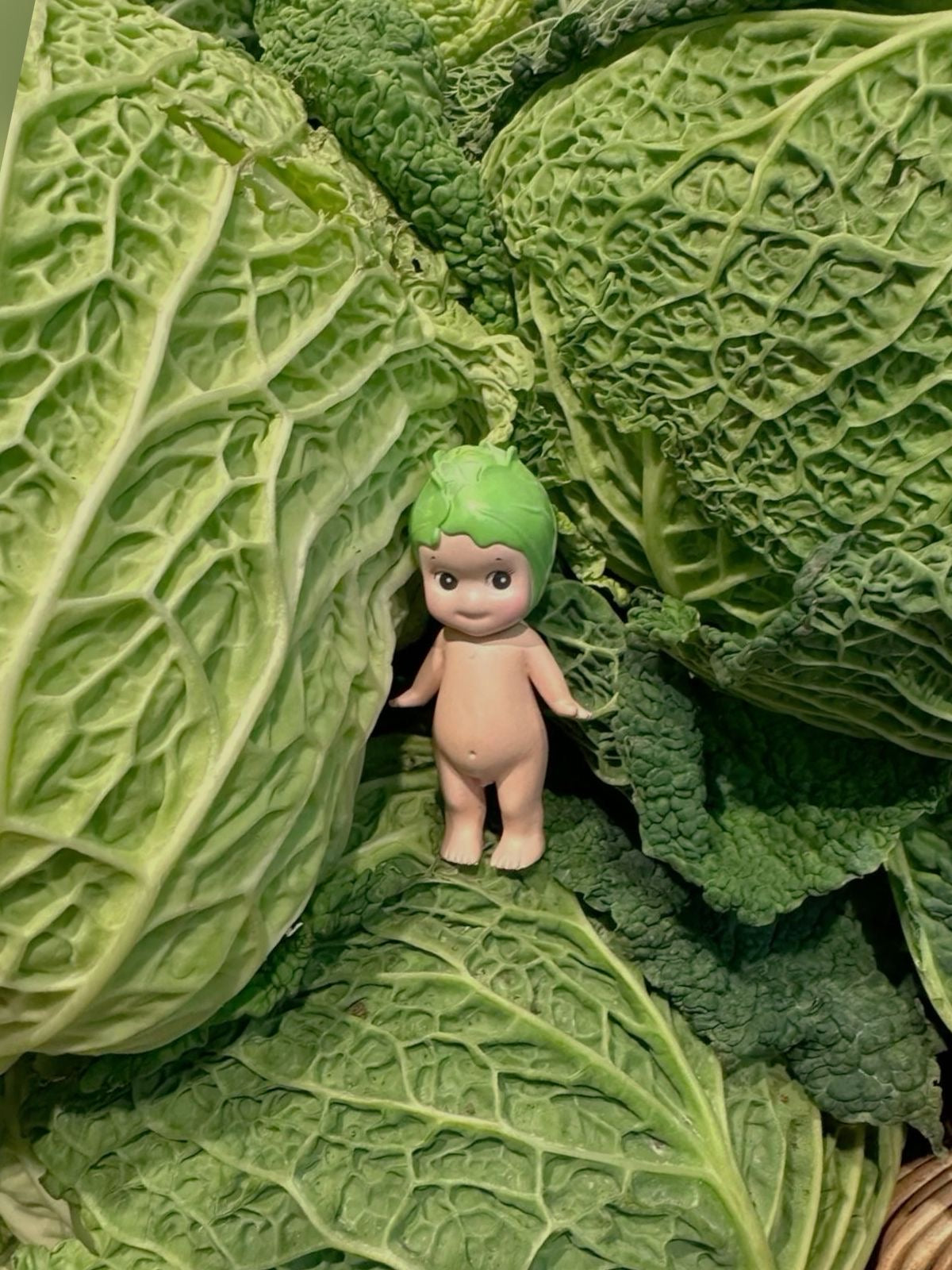 vegetables series- original sonny angels figure( 1 blind box)